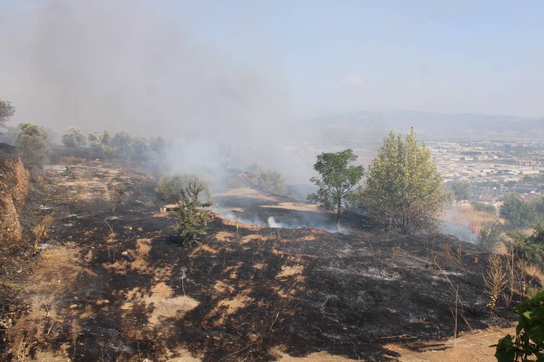 Aydın'daki yangın kontrol altına alındı. 19 er dumandan etkilendi 14